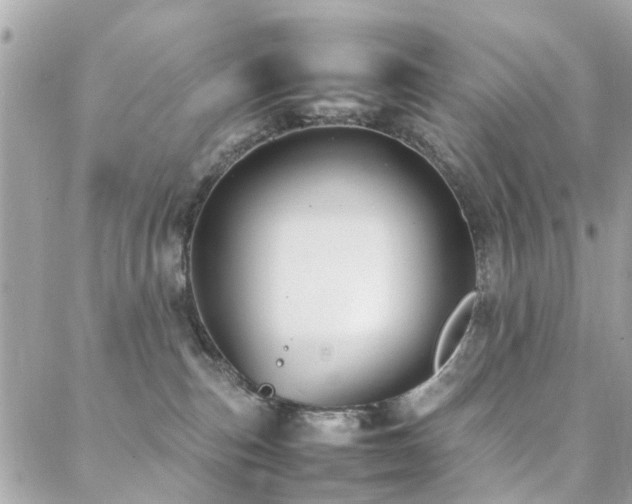 X0000088360187200705221040