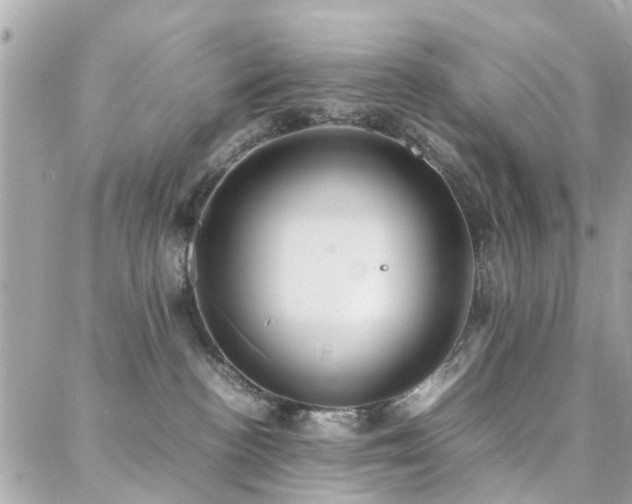 X0000088360188200705221040