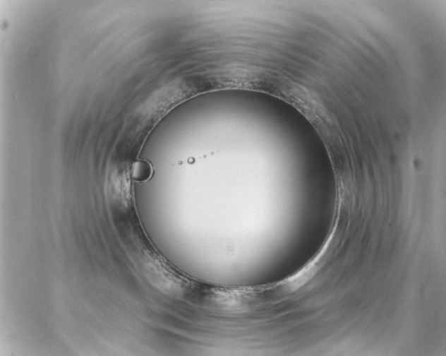 X0000088360190200705221040