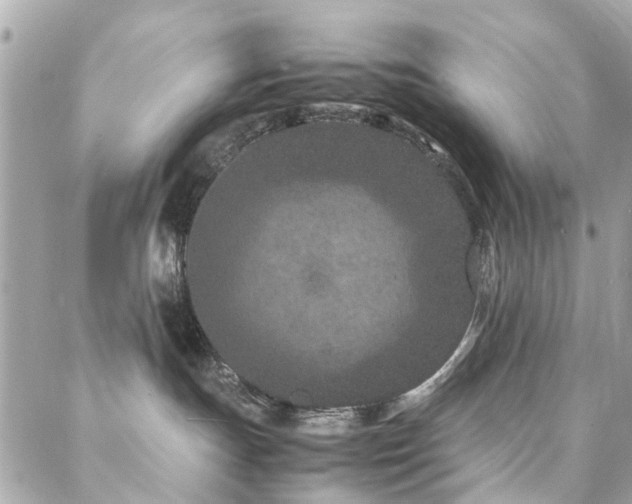 X0000088360191200705221040