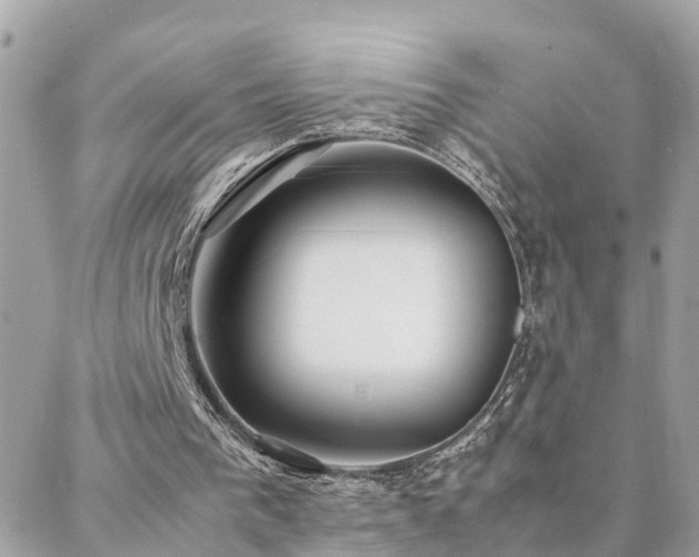 X0000088360193200705221039