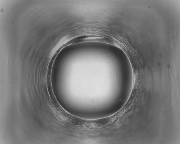 X0000088360195200705221039