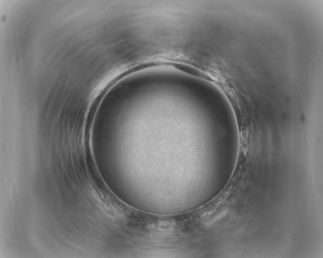 X0000088360196200705221039