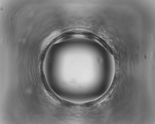 X0000088360197200705221039