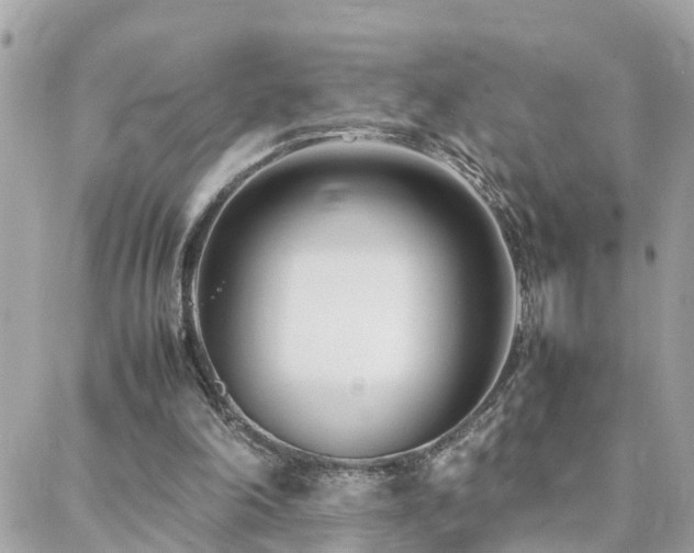 X0000088360198200705221039