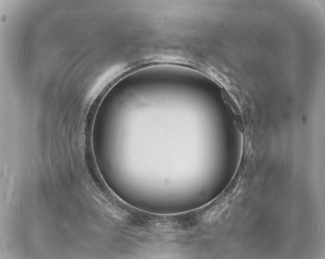 X0000088360199200705221039