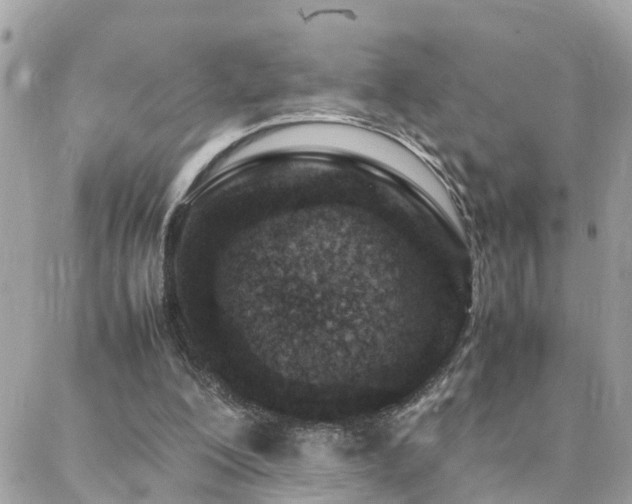 X0000088360200200705221039