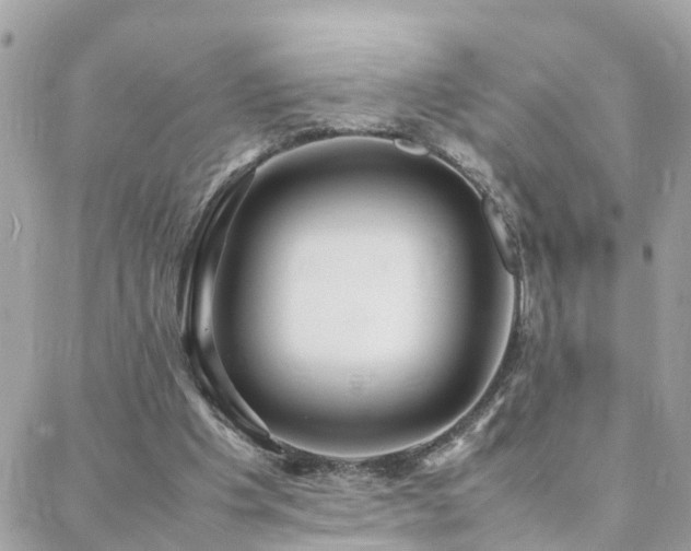 X0000088360201200705221039