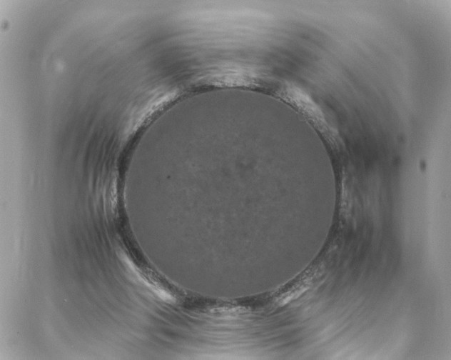 X0000088360202200705221039