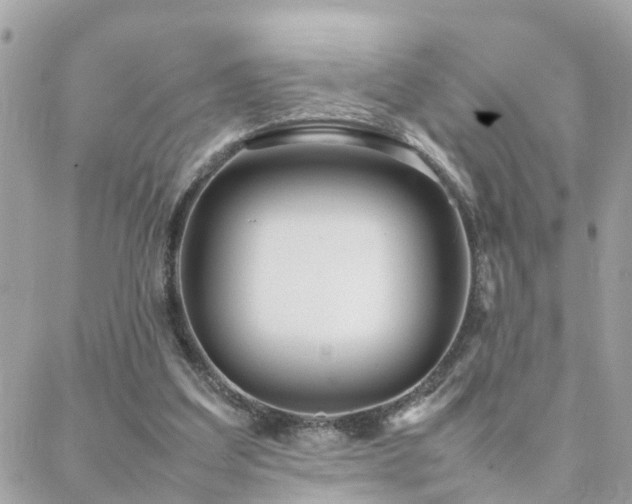 X0000088360203200705221039