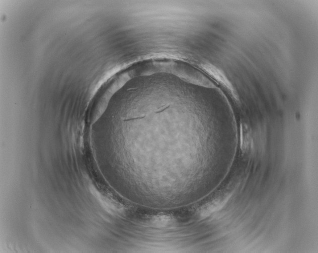 X0000088360204200705221039