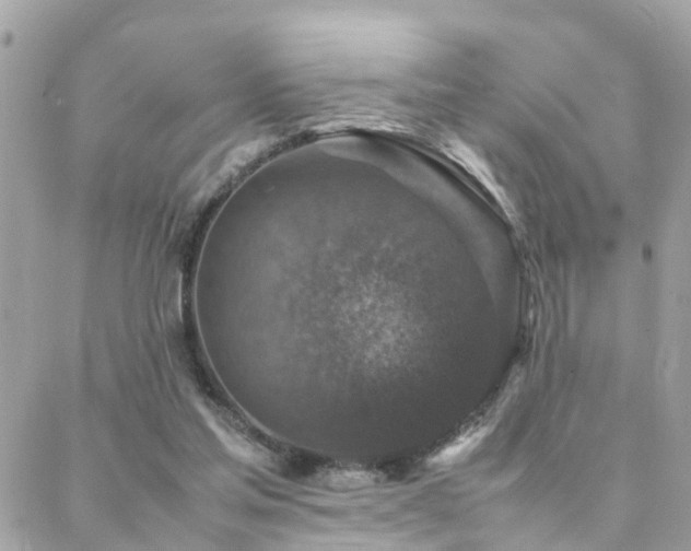 X0000088360205200705221039