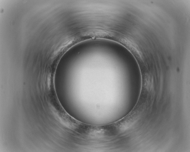 X0000088360206200705221039