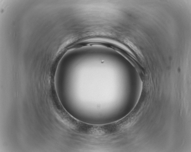 X0000088360207200705221039