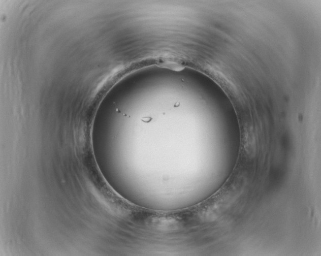 X0000088360208200705221039