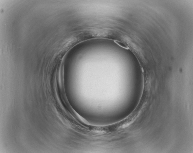 X0000088360209200705221039