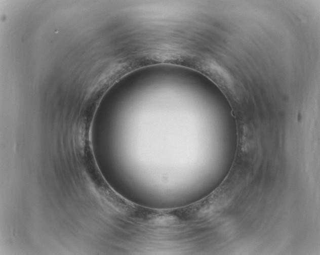 X0000088360210200705221039