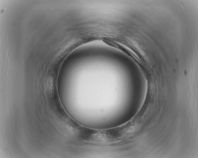 X0000088360211200705221039