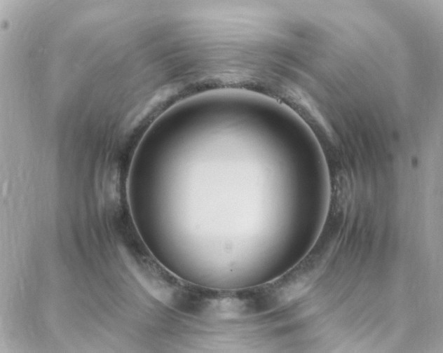 X0000088360212200705221039