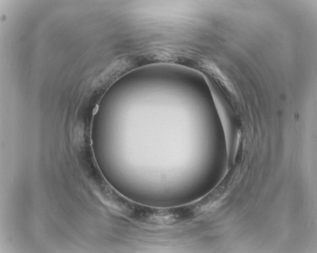 X0000088360213200705221039