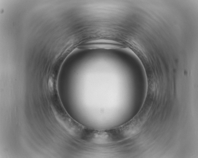 X0000088360214200705221039