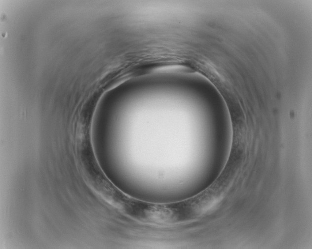 X0000088360215200705221039