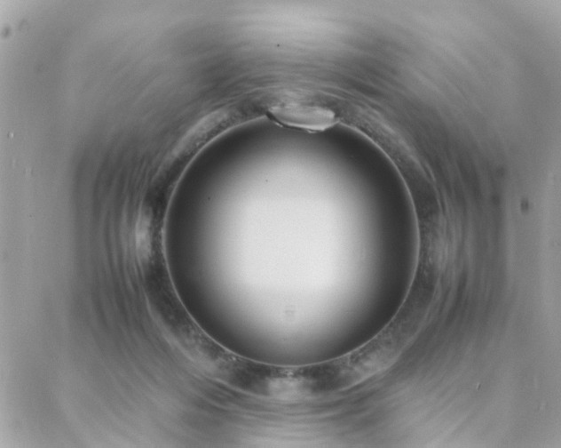 X0000088360216200705221039