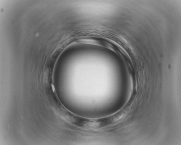 X0000088360217200705221039