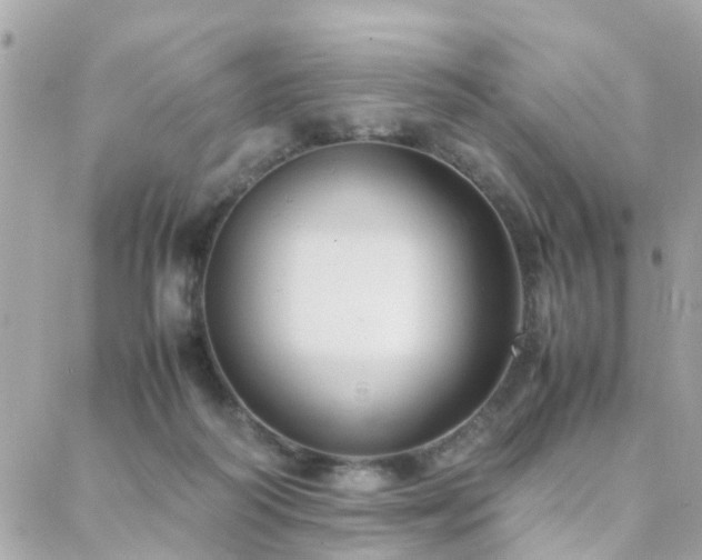 X0000088360218200705221039