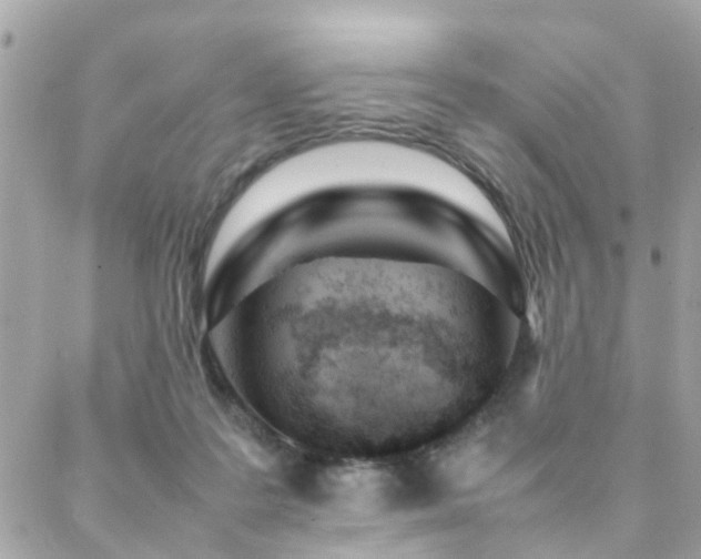 X0000088360219200705221039