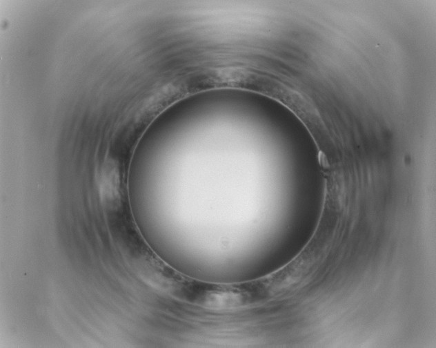 X0000088360220200705221039