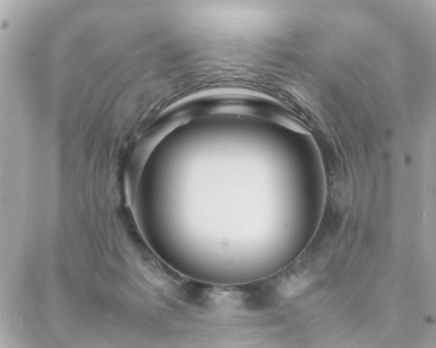 X0000088360221200705221039