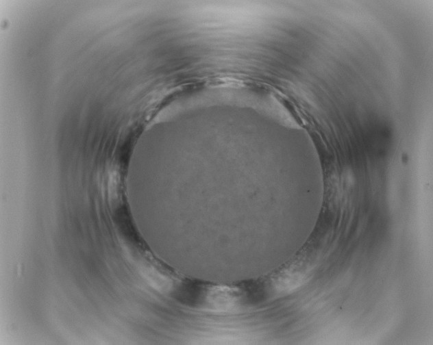 X0000088360222200705221039