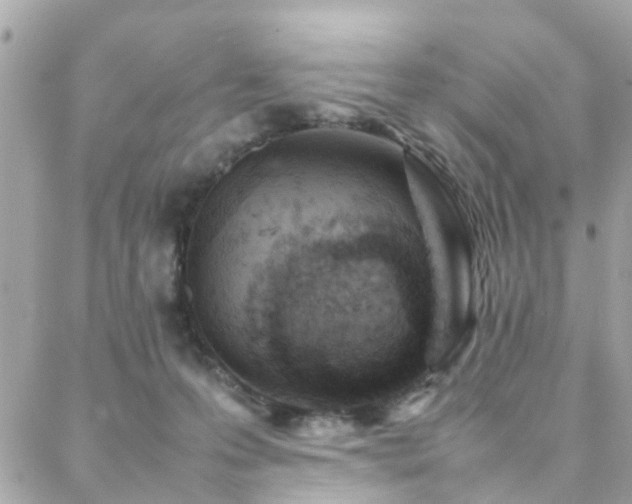 X0000088360223200705221039