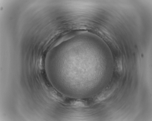 X0000088360224200705221039