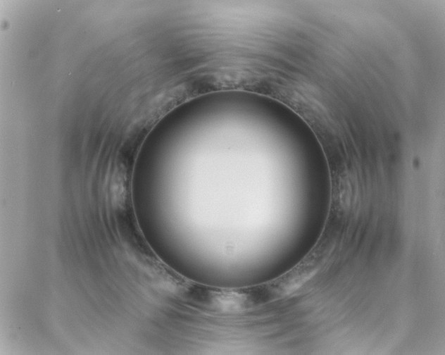 X0000088360226200705221039