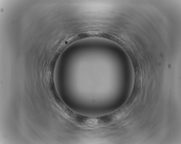 X0000088360227200705221039