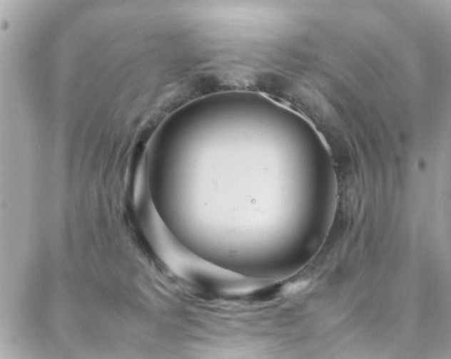 X0000088360229200705221039