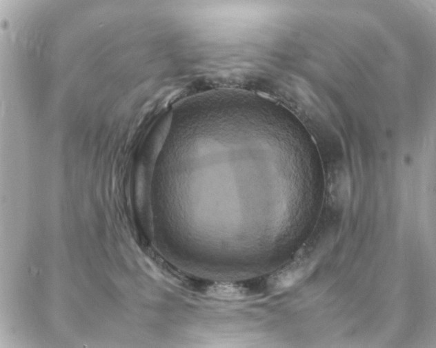 X0000088360231200705221039