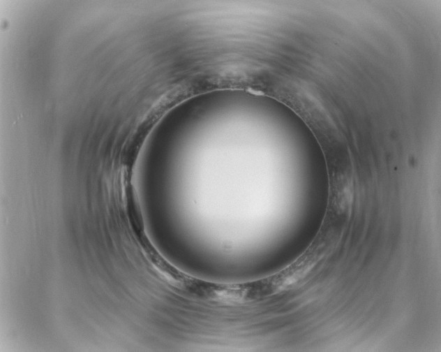 X0000088360232200705221039