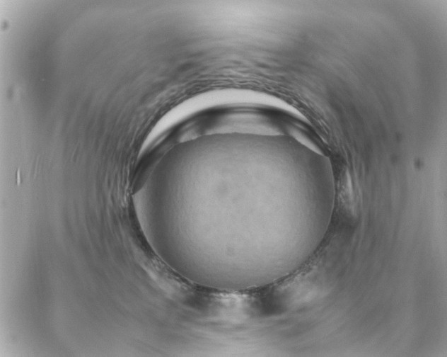 X0000088360233200705221039