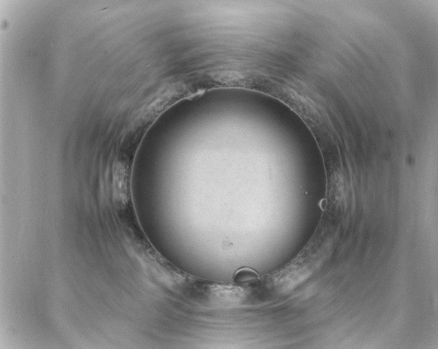 X0000088360234200705221039