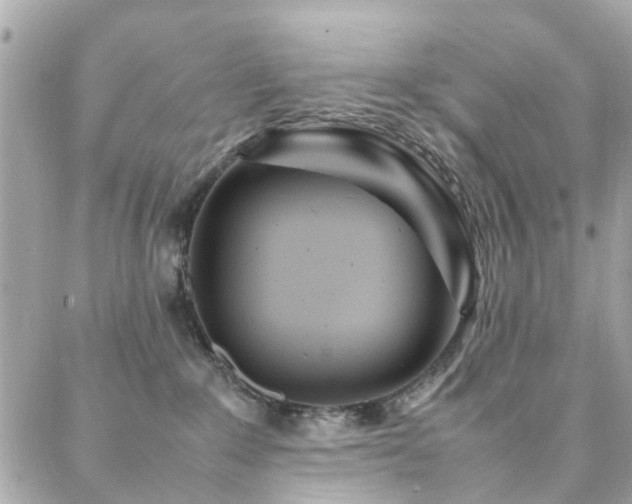 X0000088360235200705221039