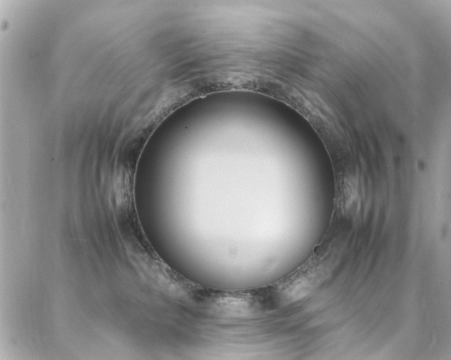 X0000088360236200705221039