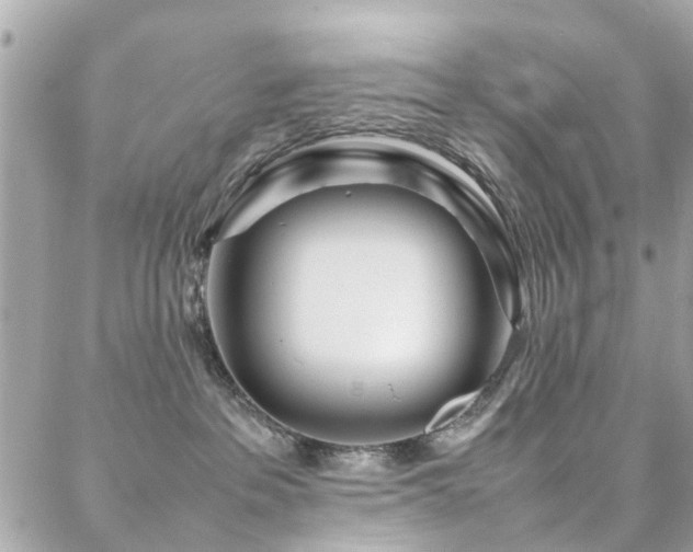 X0000088360237200705221039