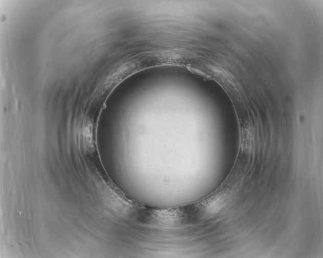 X0000088360238200705221039