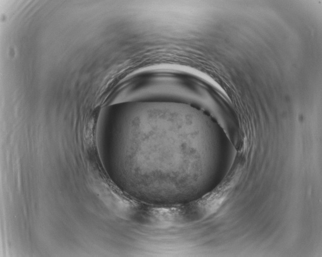 X0000088360239200705221039