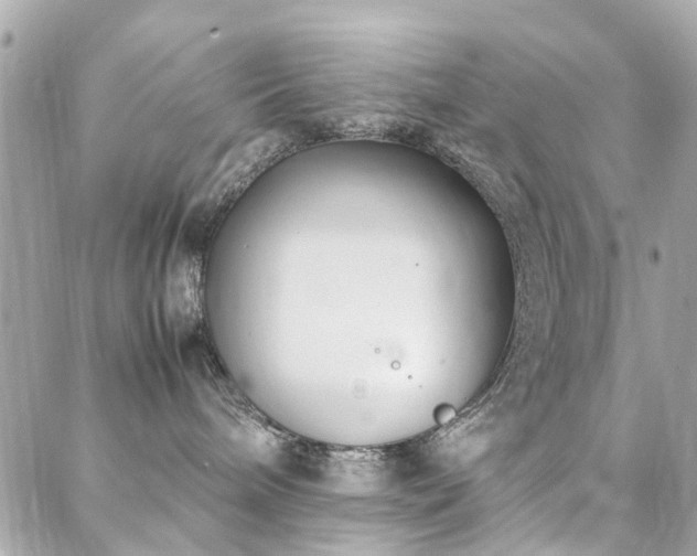 X0000088360240200705221039