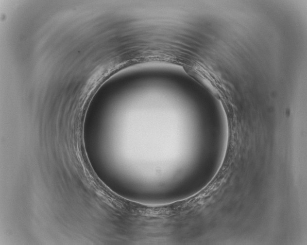 X0000088360241200705221038