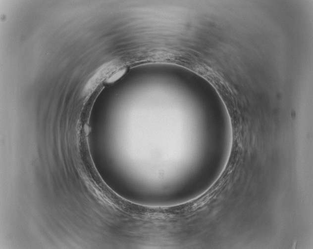 X0000088360242200705221038